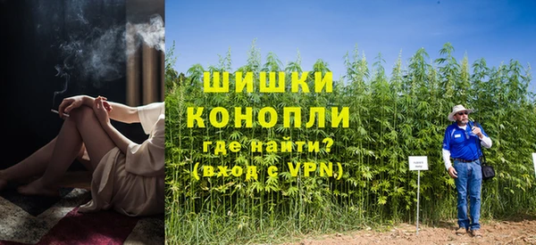 трава Бронницы