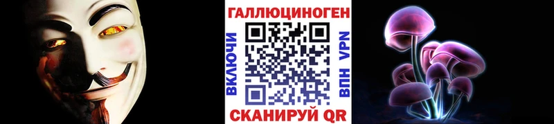 Купить  Волосово  Галлюциногенные грибы Psilocybe 